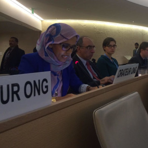 ACTIVIDADES EN EL CONSEJO (2)