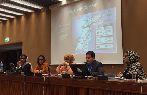 ACTIVIDADES EN EL CONSEJO